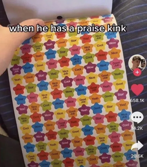 Nothing says “Good boy” quite like star stickers right on the forehead