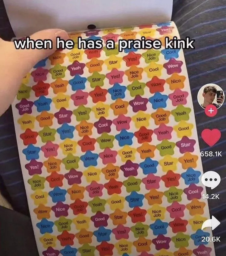 Nothing says “Good boy” quite like star stickers right on the forehead