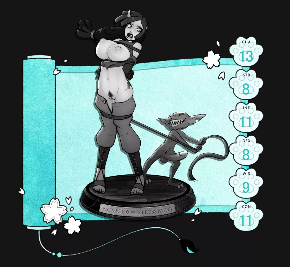 Novice!MM (NinjaKitty)