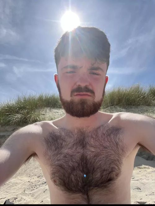 Otter at the beach😉