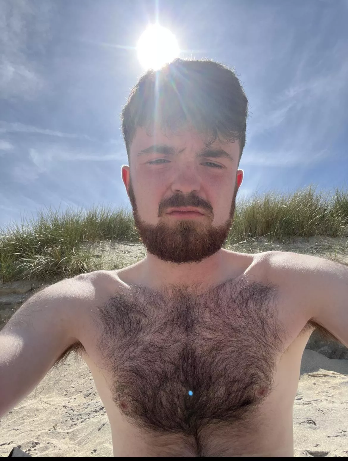 Otter at the beach😉