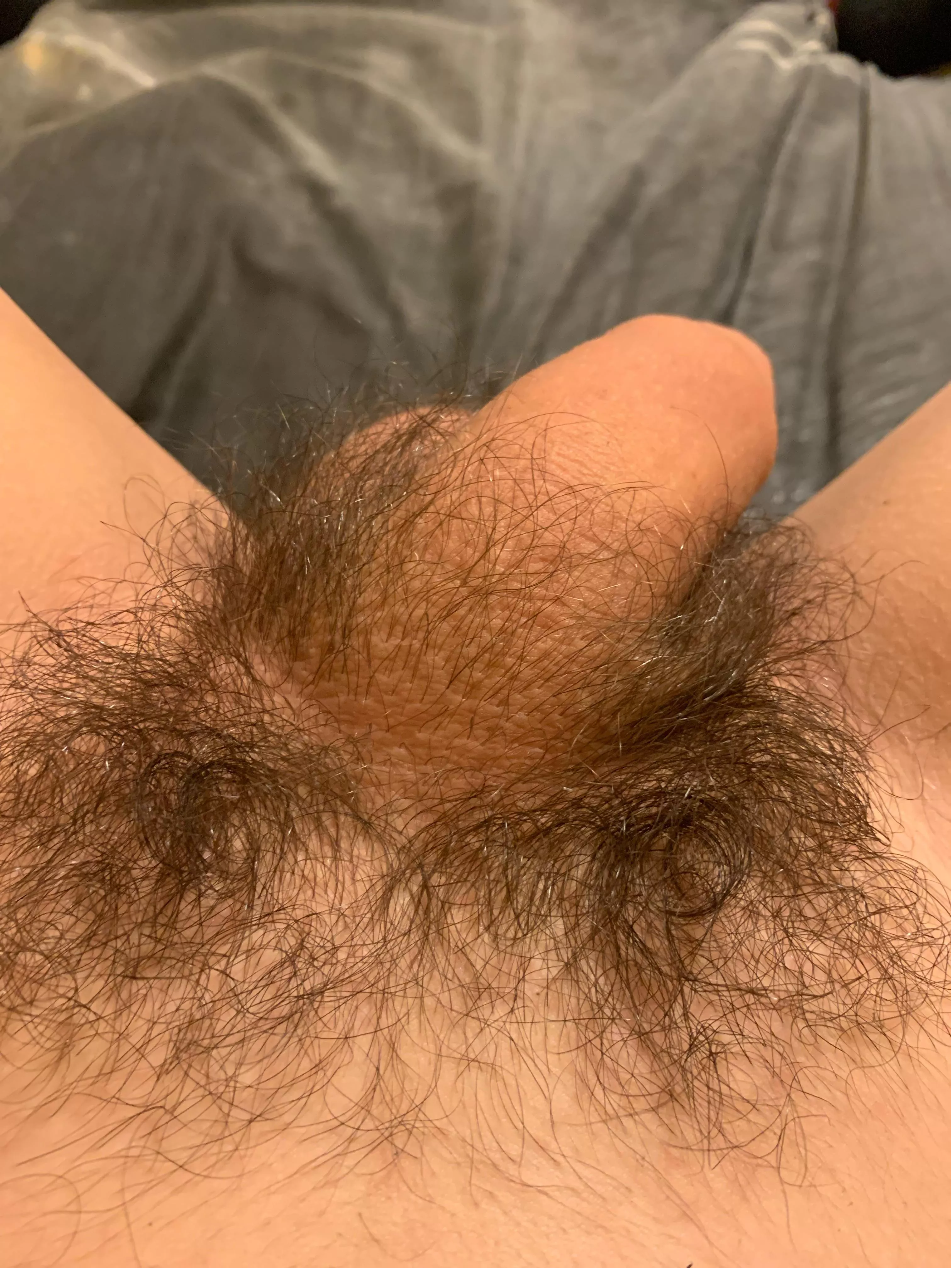 Play with my pubes?