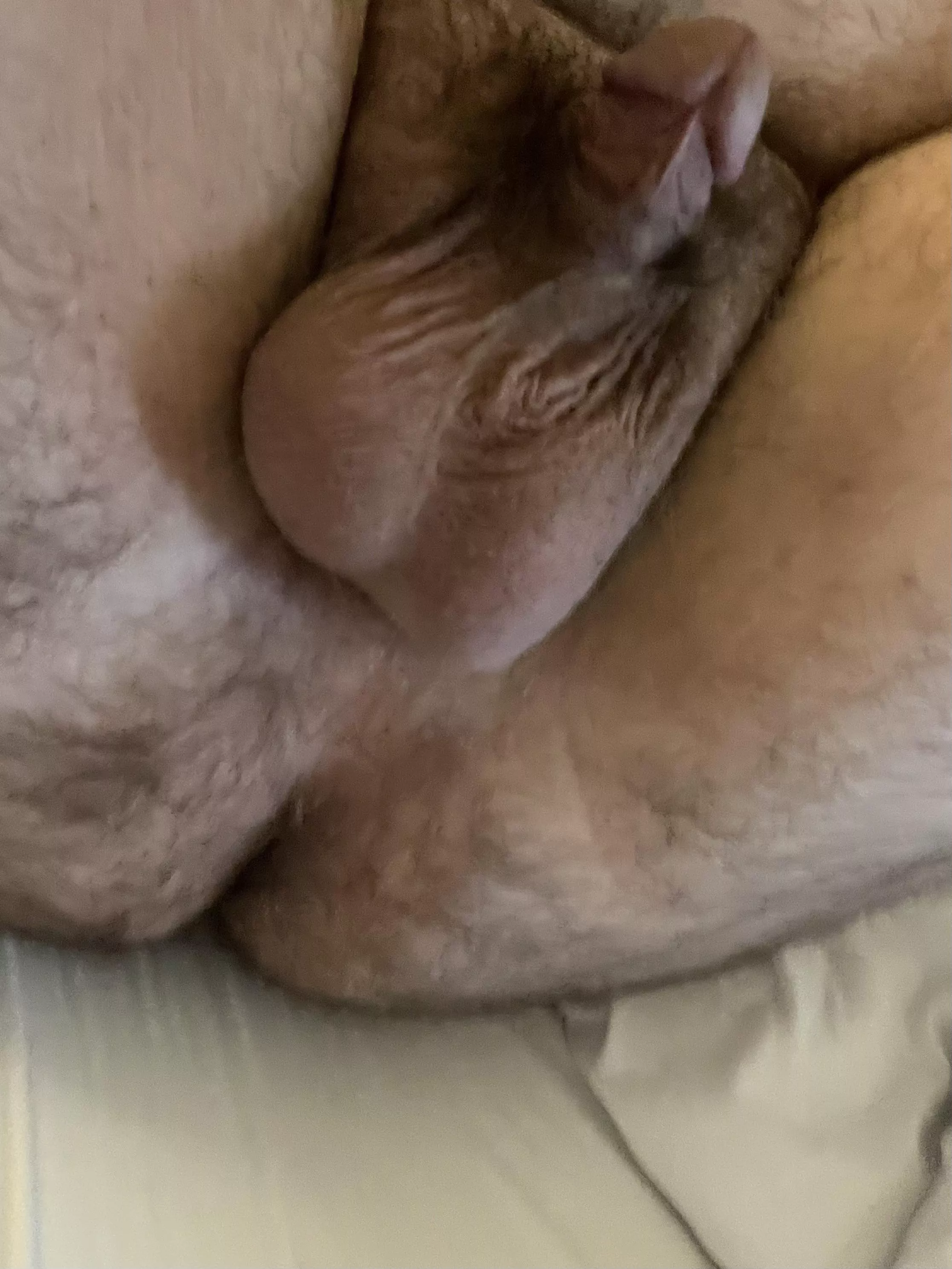 Pump me full of your seed!!!