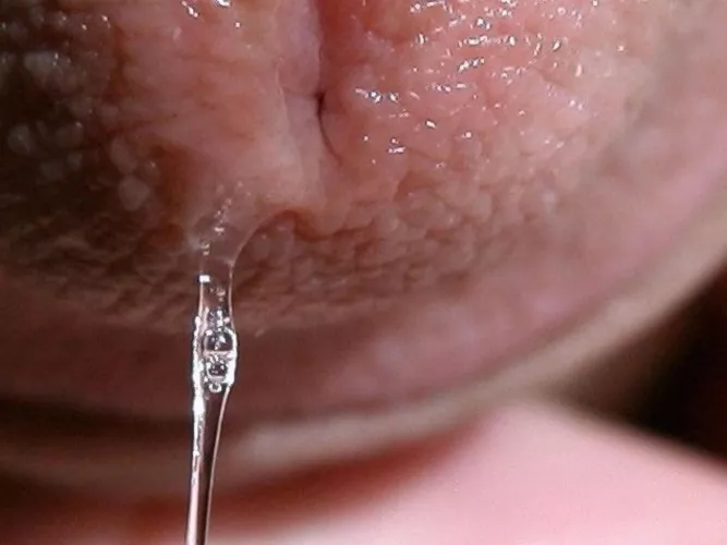 Reddit chat's fault! [58] 😈