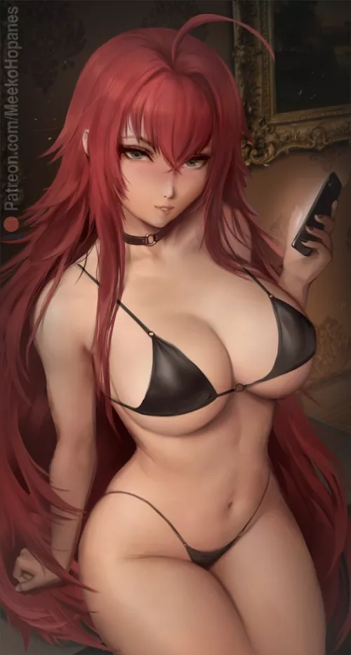rias (meekohopanes) [highschool dxd]