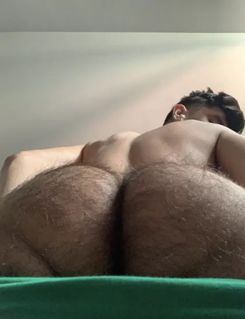 ripe hairy otter ass for you