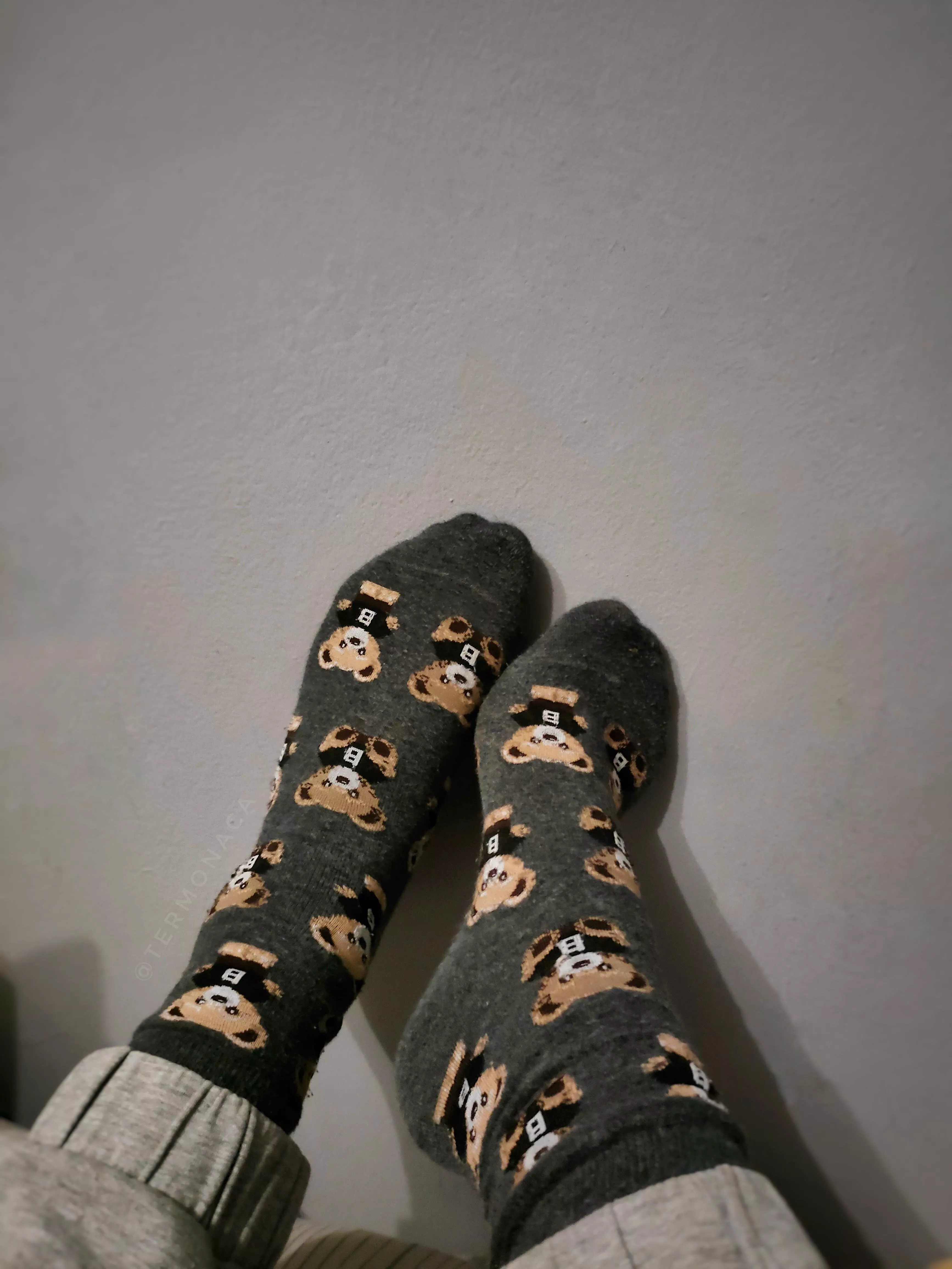 Teady bears today🧸