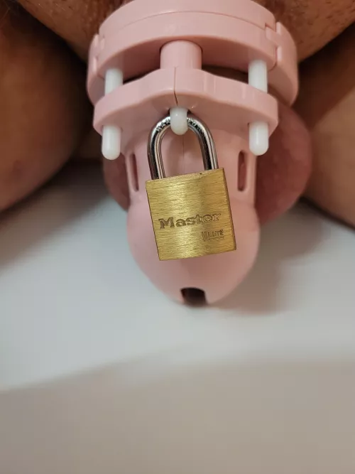 The delights of a pussyfree marriage.