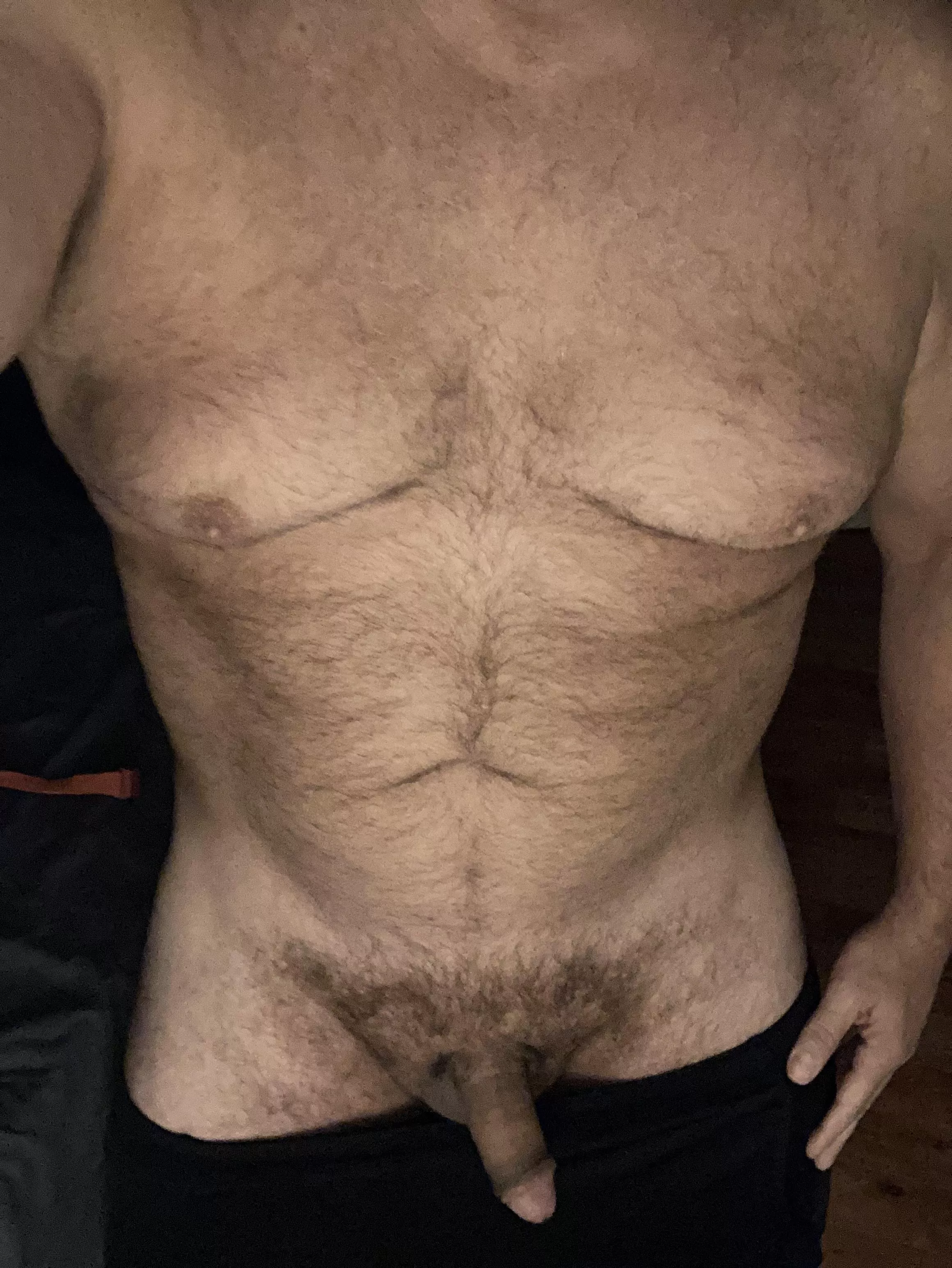 This 52 year old bear will do (just about) anything you desire