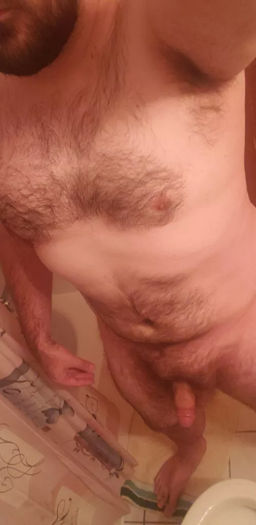 this dick ain't gonna shake itself