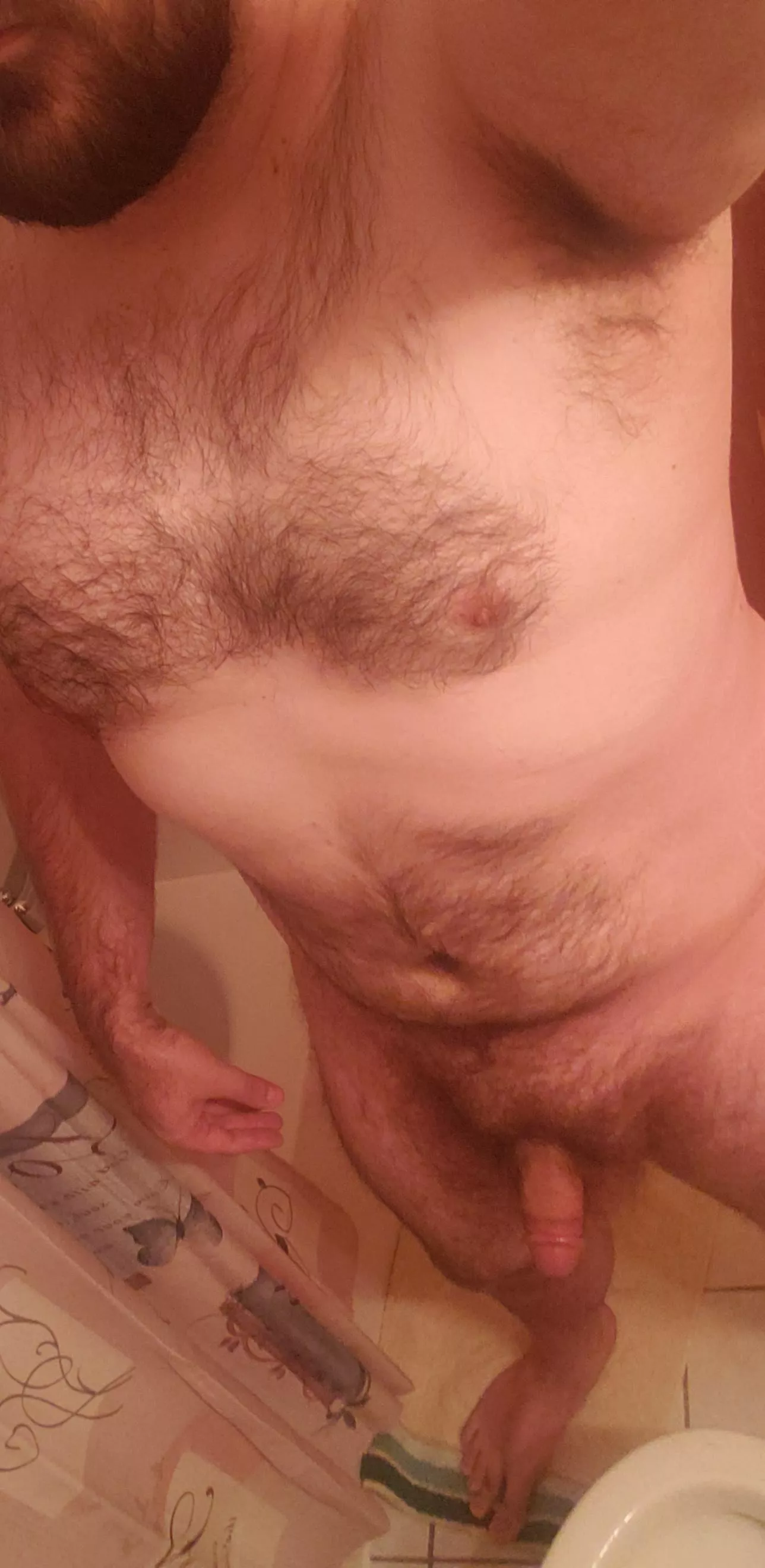 this dick ain't gonna shake itself