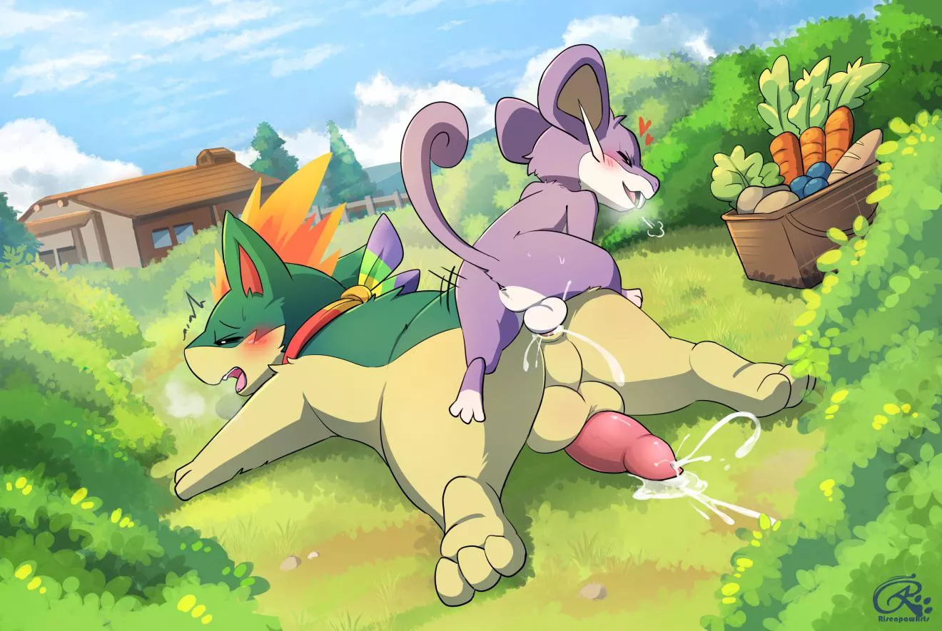 Top percent or rattata! [M] (risenpaw)