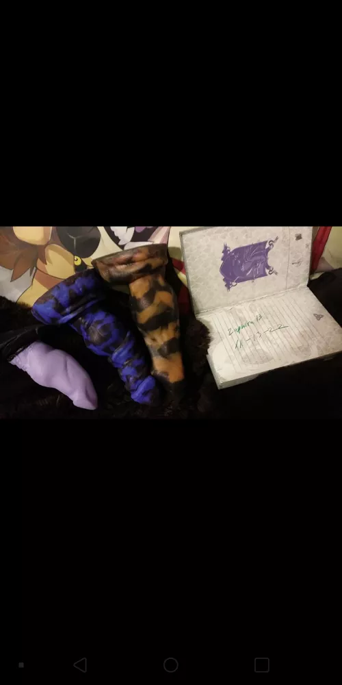 US Only Xar David and Nova