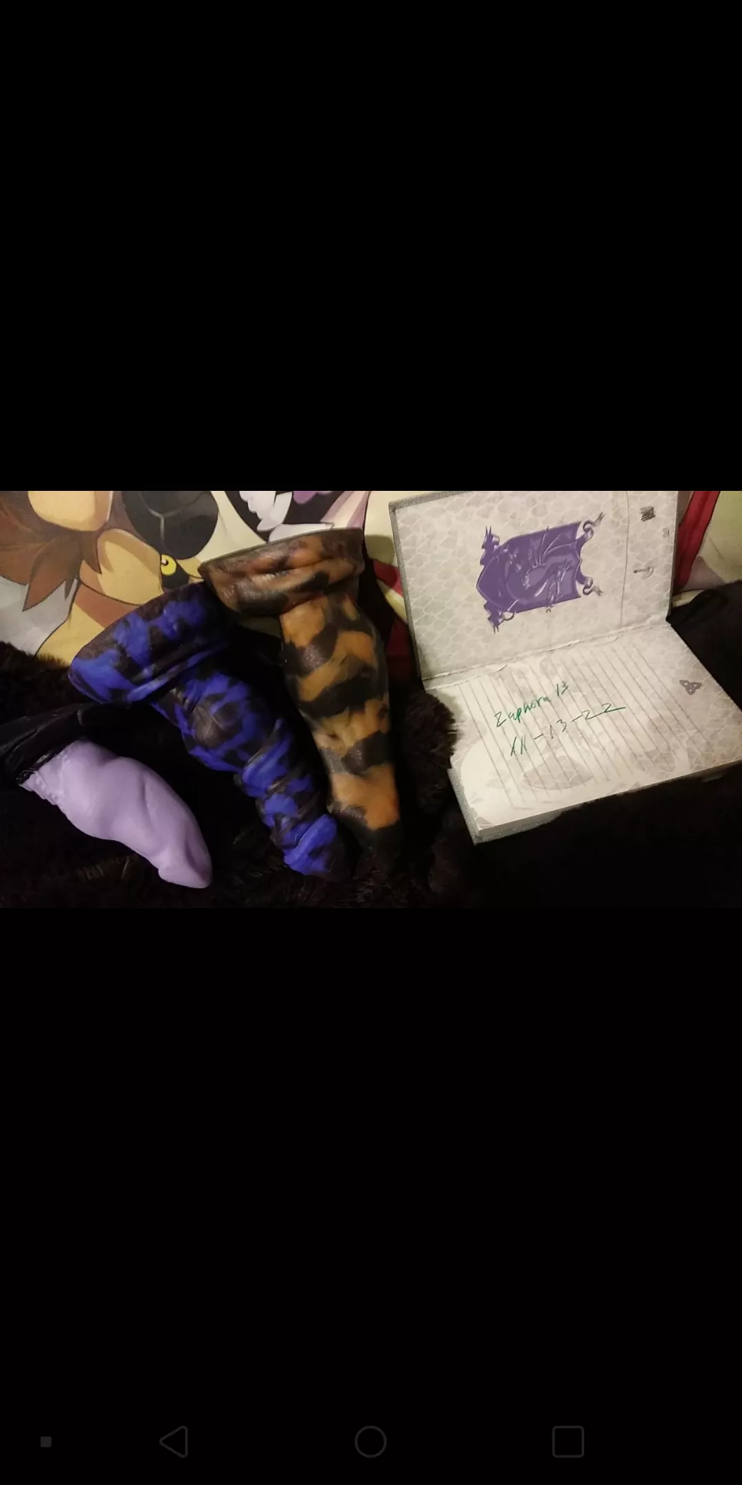 US Only Xar David and Nova