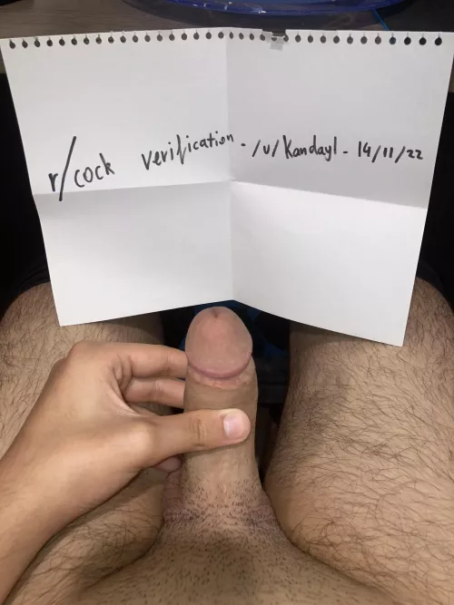 Verification