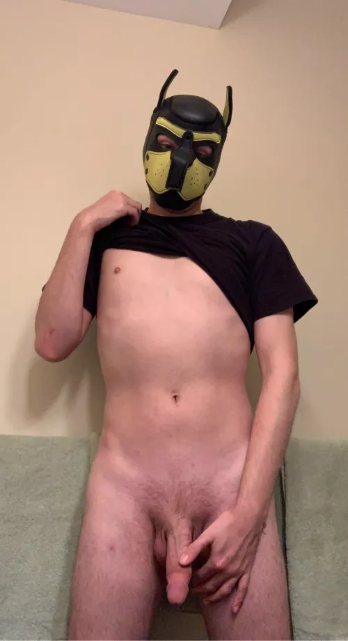 Who wants to help a pup out?