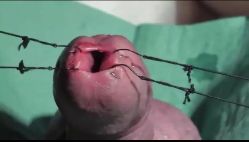 Would anyone want to do this to my cock ??