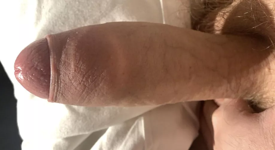 You wake up next to this - what do you do?