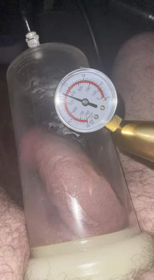 47 Bear Daddy Tampa - High pressure pump for nuts and fuller cock. I love feelin like I’m huge.