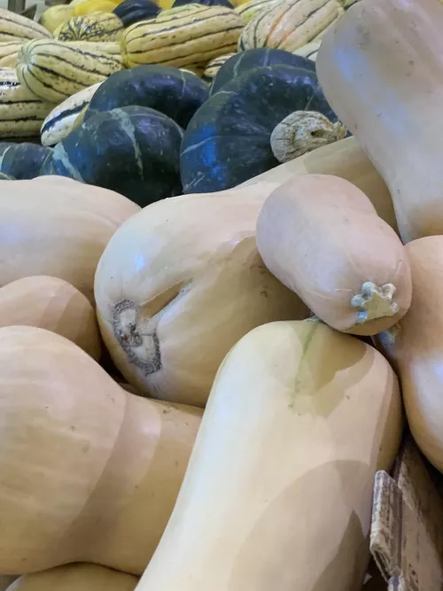 a wild Emelie spotted at the grocery store 😳