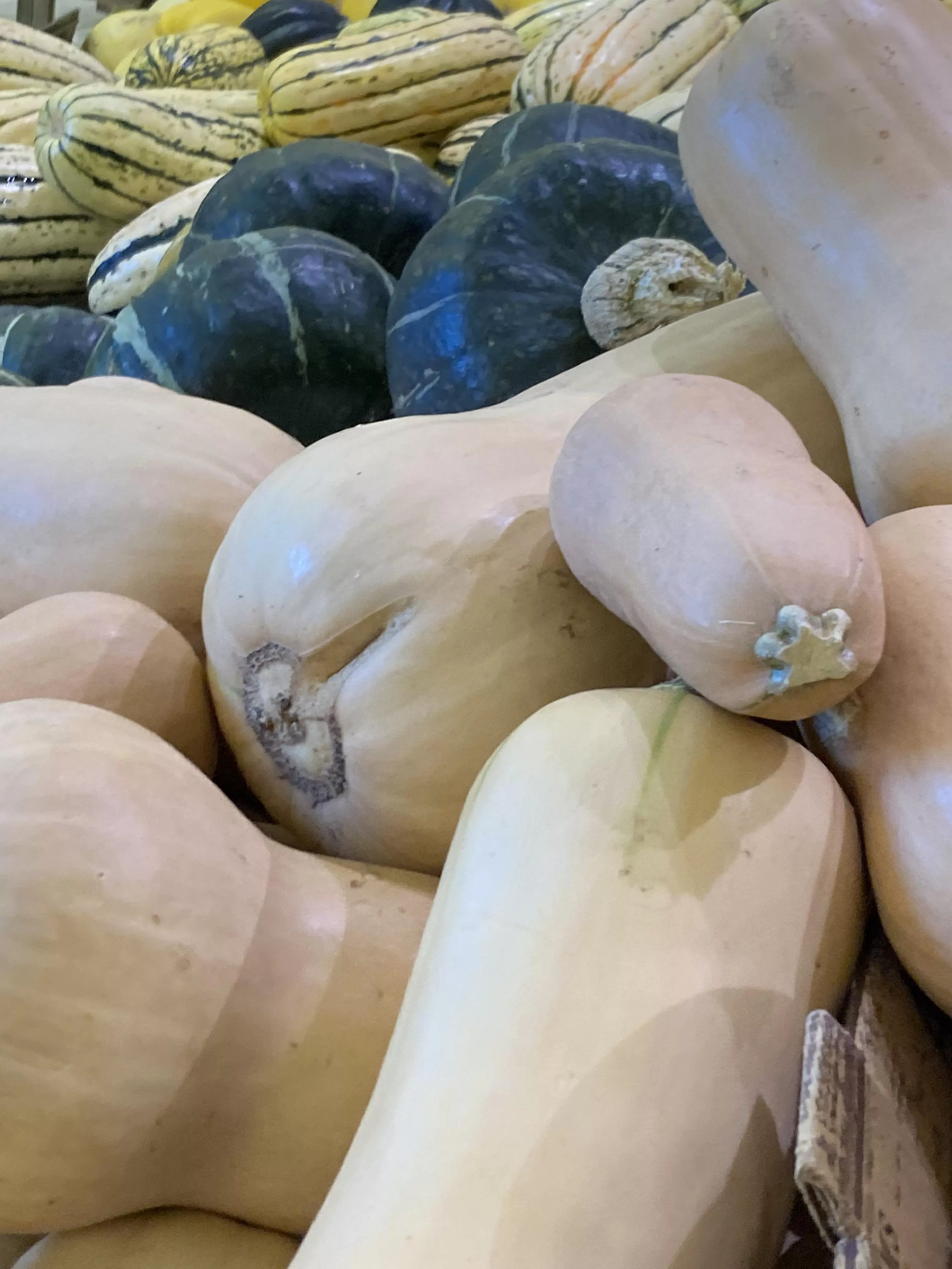 a wild Emelie spotted at the grocery store 😳