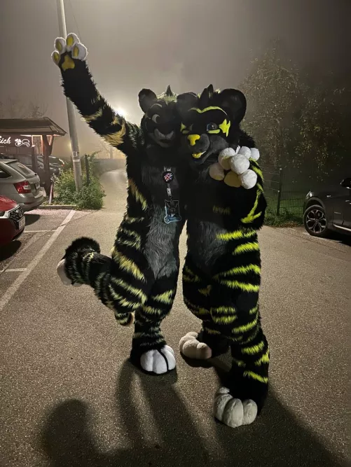 Bamboozled the local furmeet with the first time ever double trouble appearance