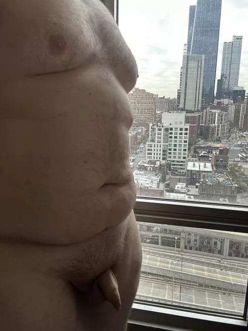 Bear in the big city 🌇