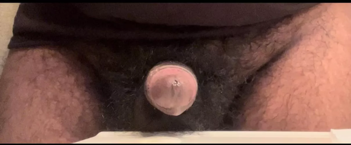 Been growing my pubes out