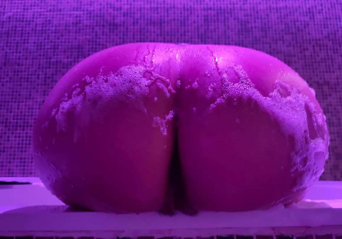 Delicious ass fit for your face
