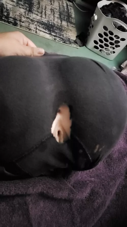 dm nl on telegram zanewright im fucking my toy