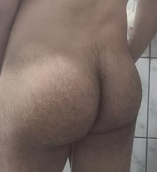 dou you like ? latin ass