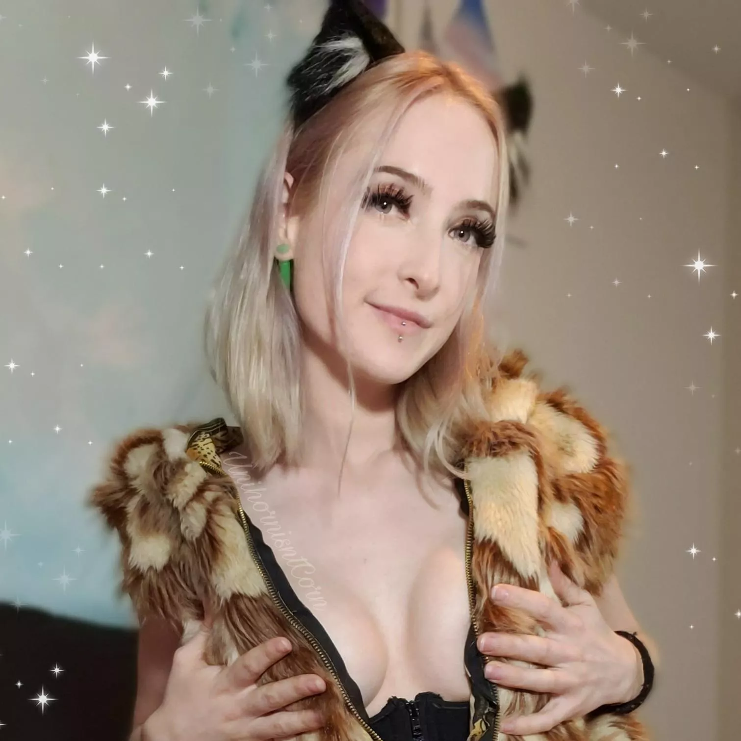 (F)ox says hello! Happy Monday 🦊