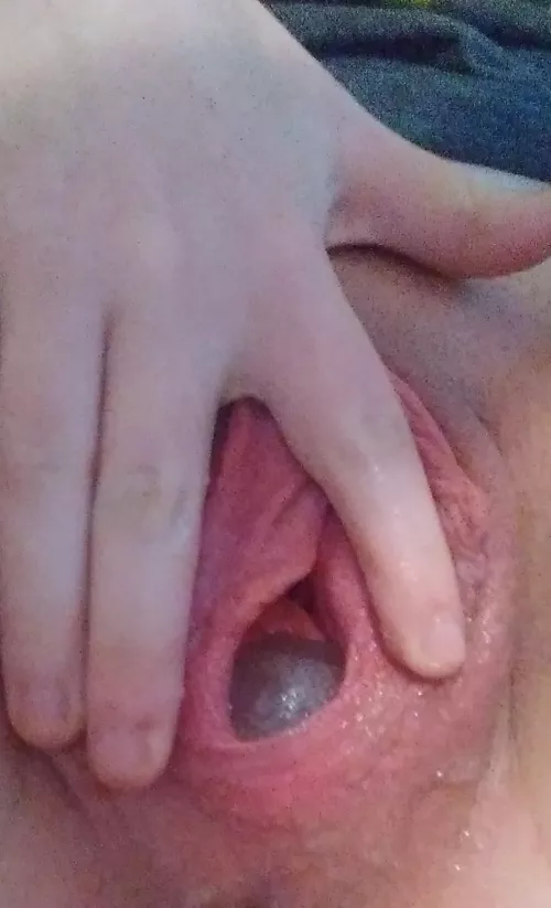 gelatine egg update 🌸