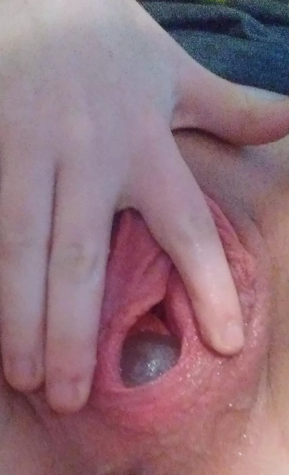 gelatine egg update 🌸