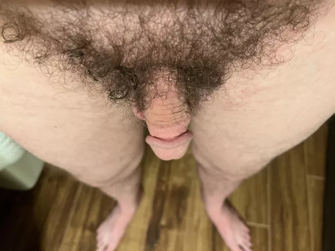 Hairy softie