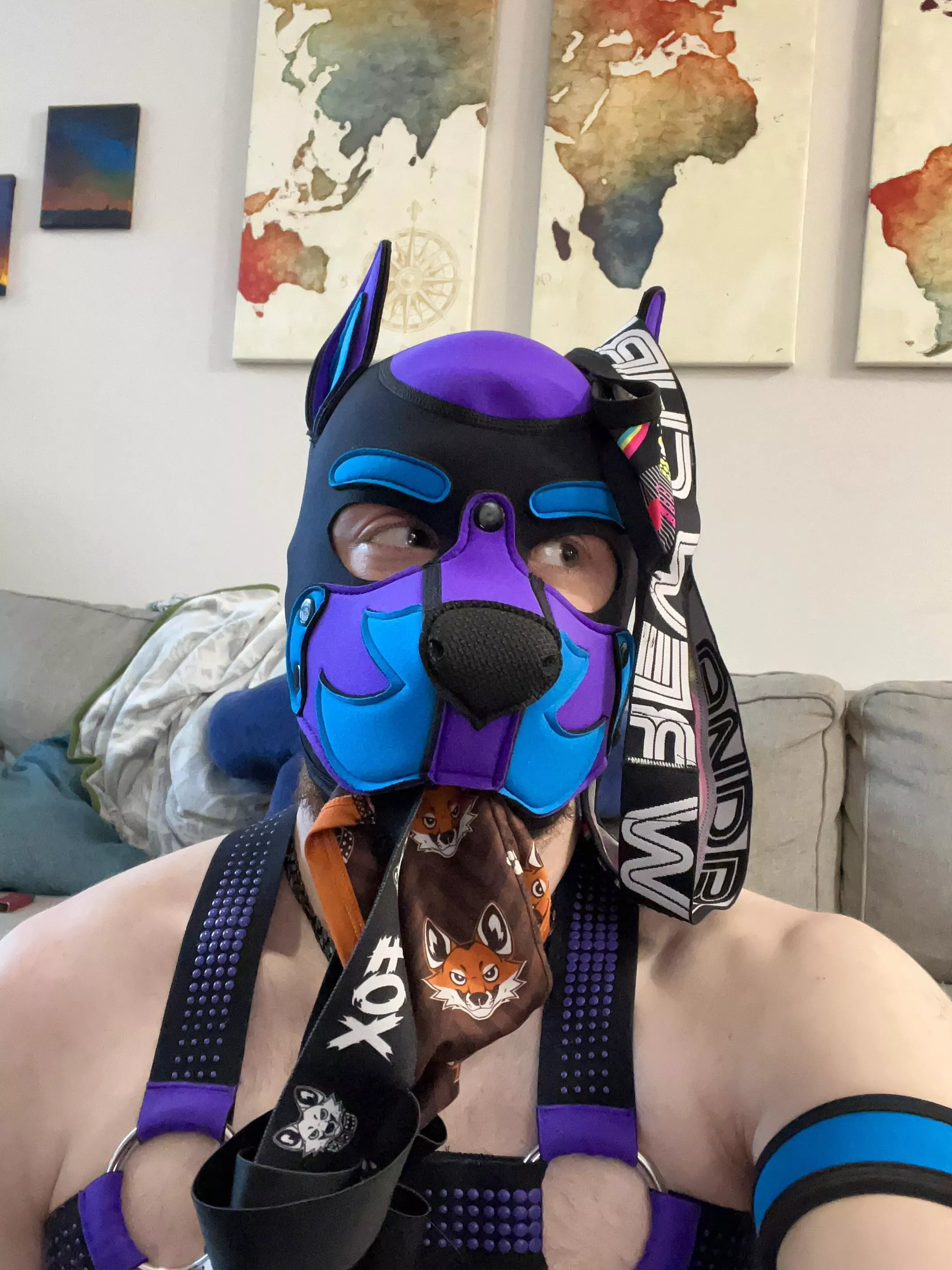 How did this happen?!?!