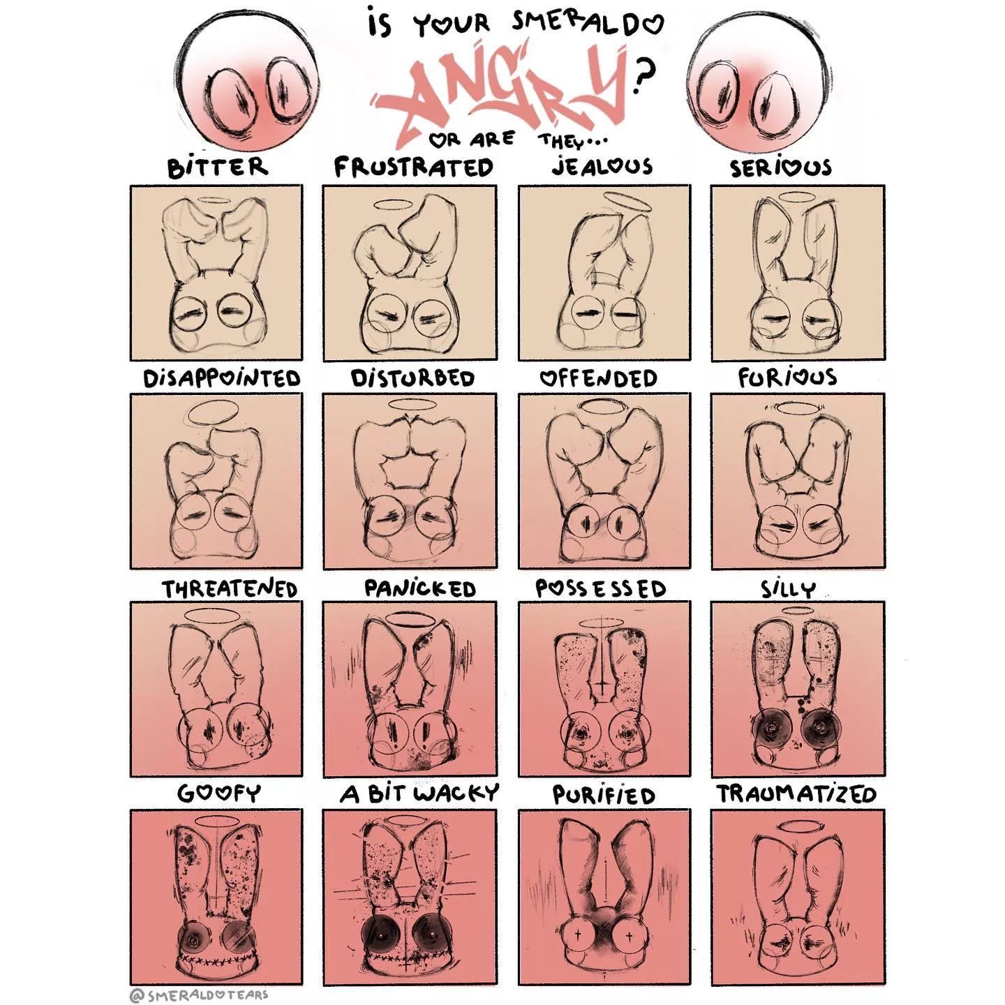 How to tell your bunny is angry?