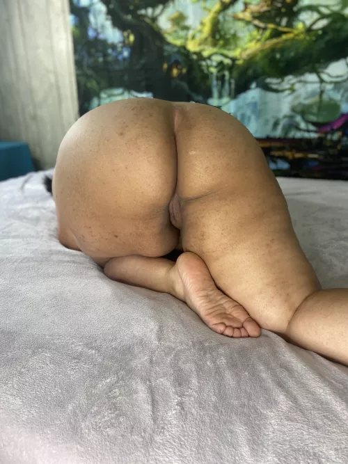 Huge round Latina booty waiting to get spread open