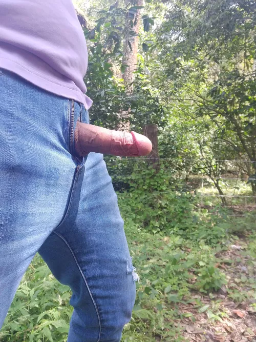 I feel free in the forest