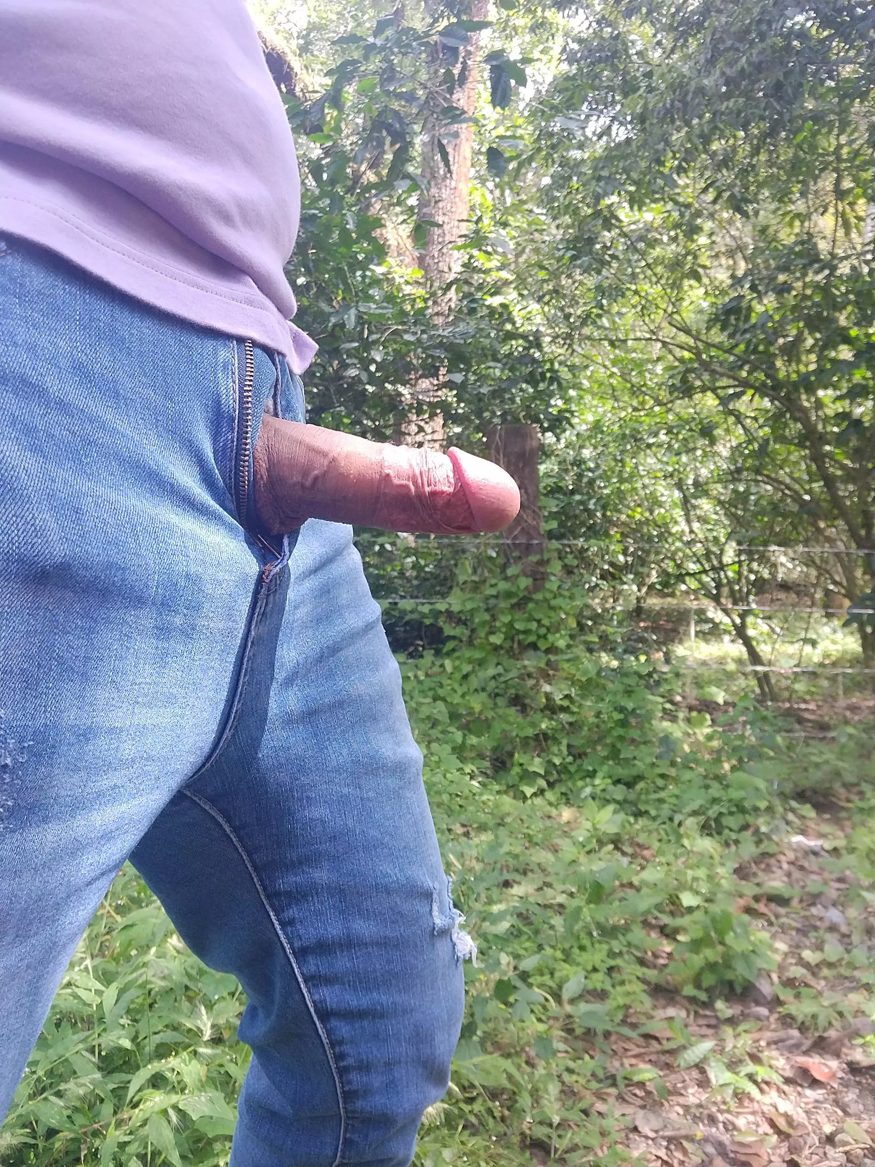 I feel free in the forest