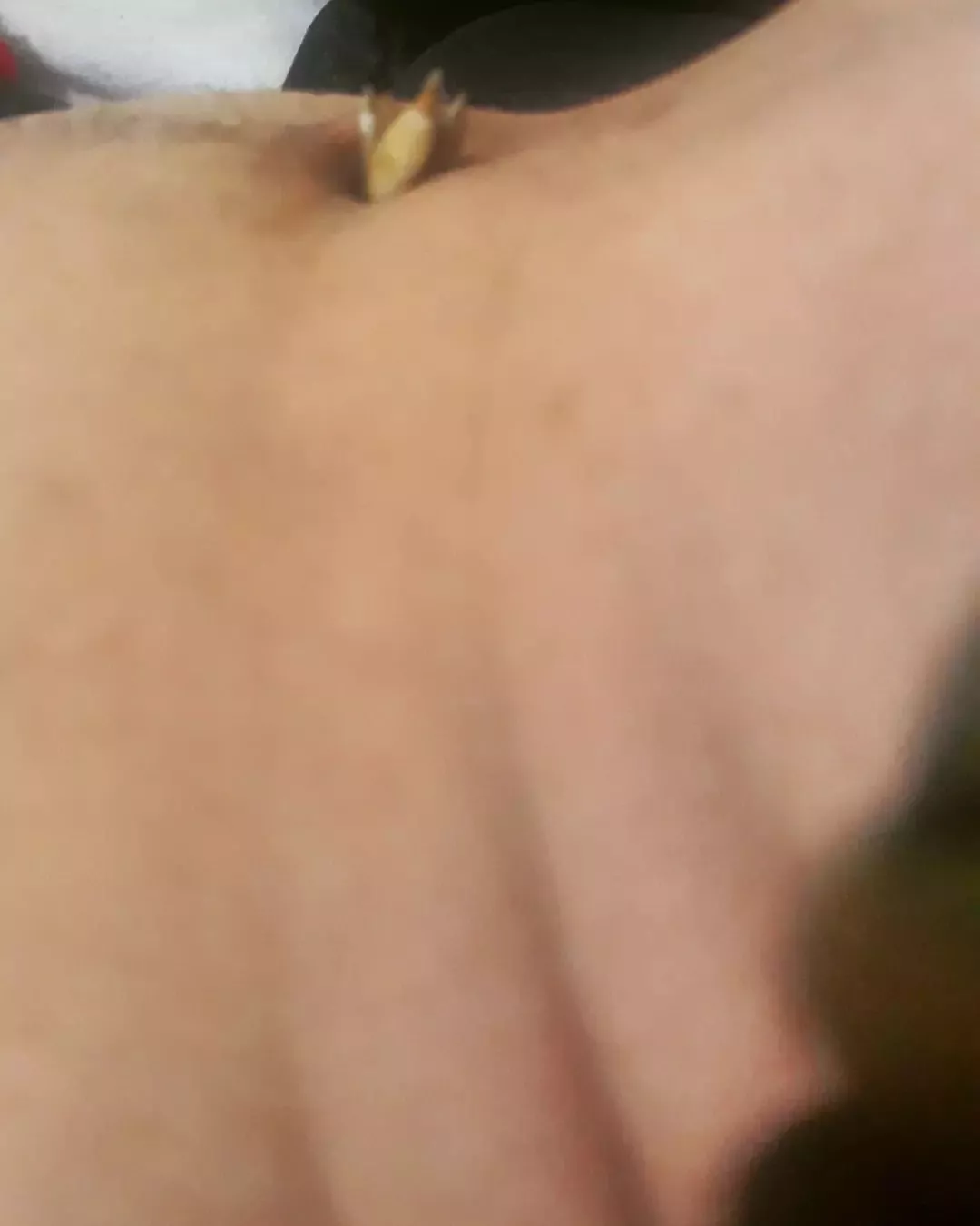 Is there anyone hungry who likes to have a little bit of this 😁 🖤?!