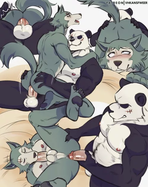 Legoshi x Gouhin (VHKAnsfweer)