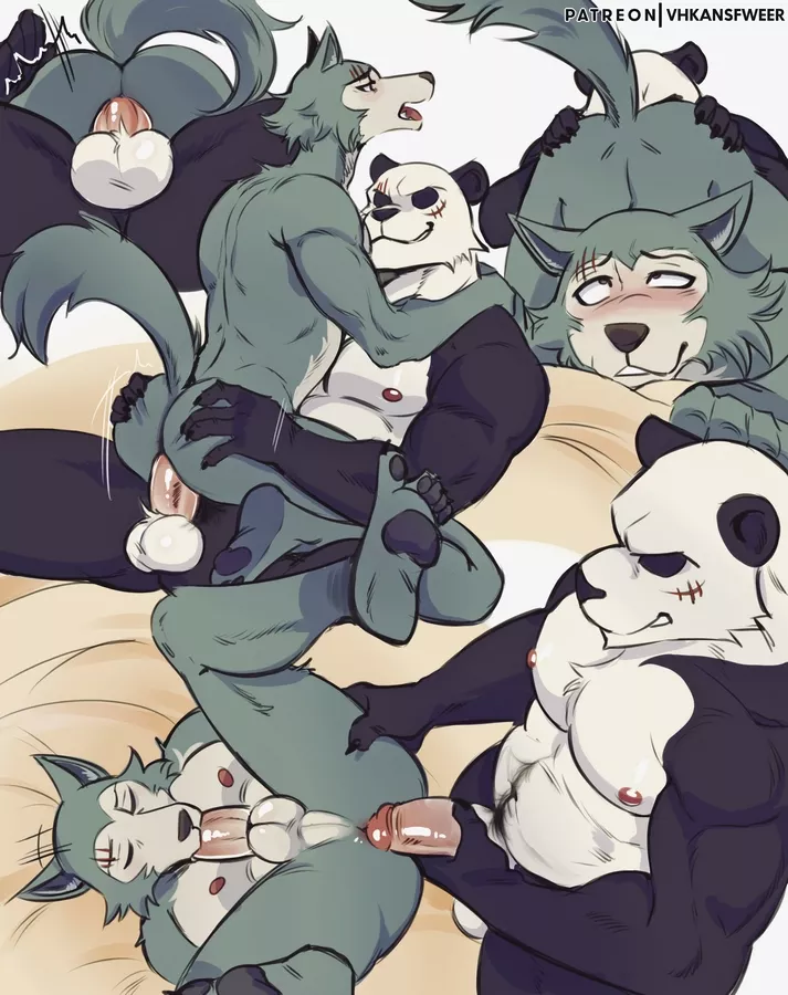 Legoshi x Gouhin (VHKAnsfweer)