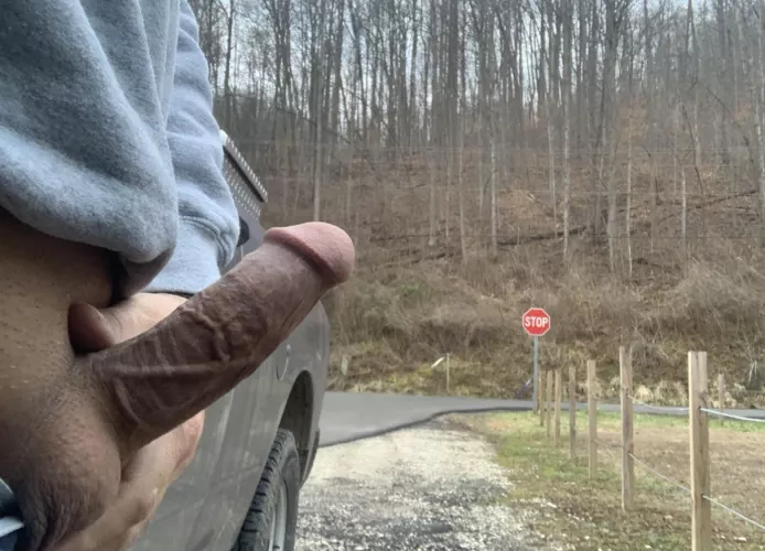 Let’s get lost in the woods together