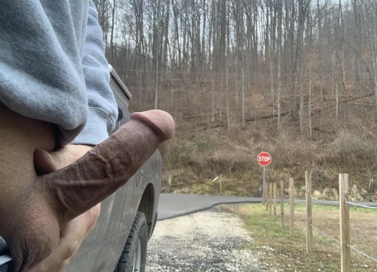 Let’s get lost in the woods together