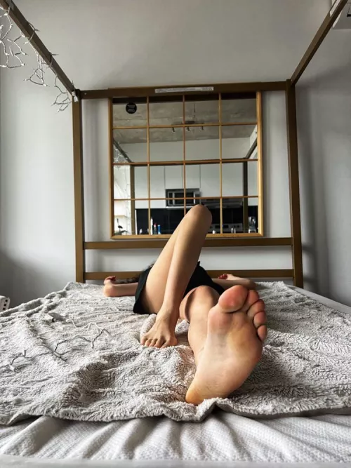 My feet are in your face right now, do you want tk lick them?