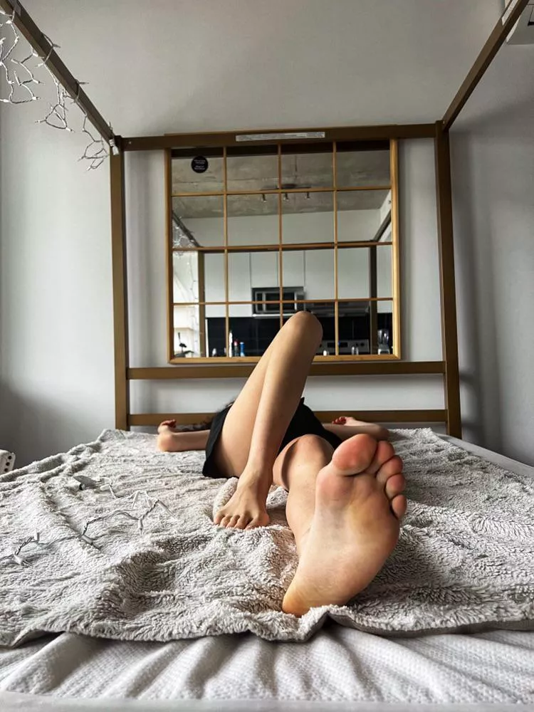 My feet are in your face right now, do you want tk lick them?