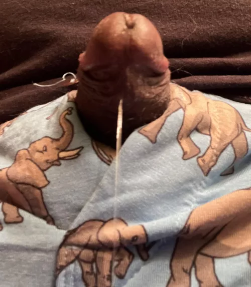 My trunk is dripping