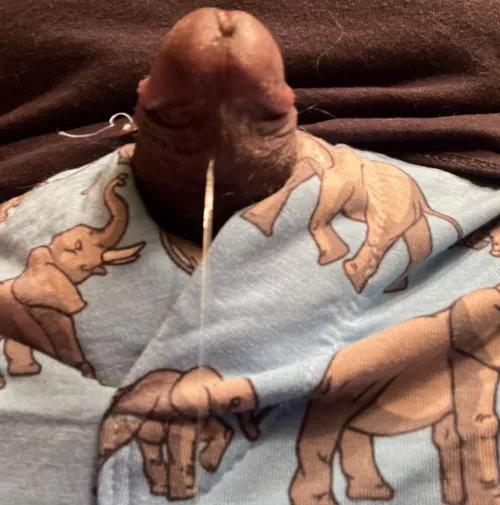 My trunk is dripping