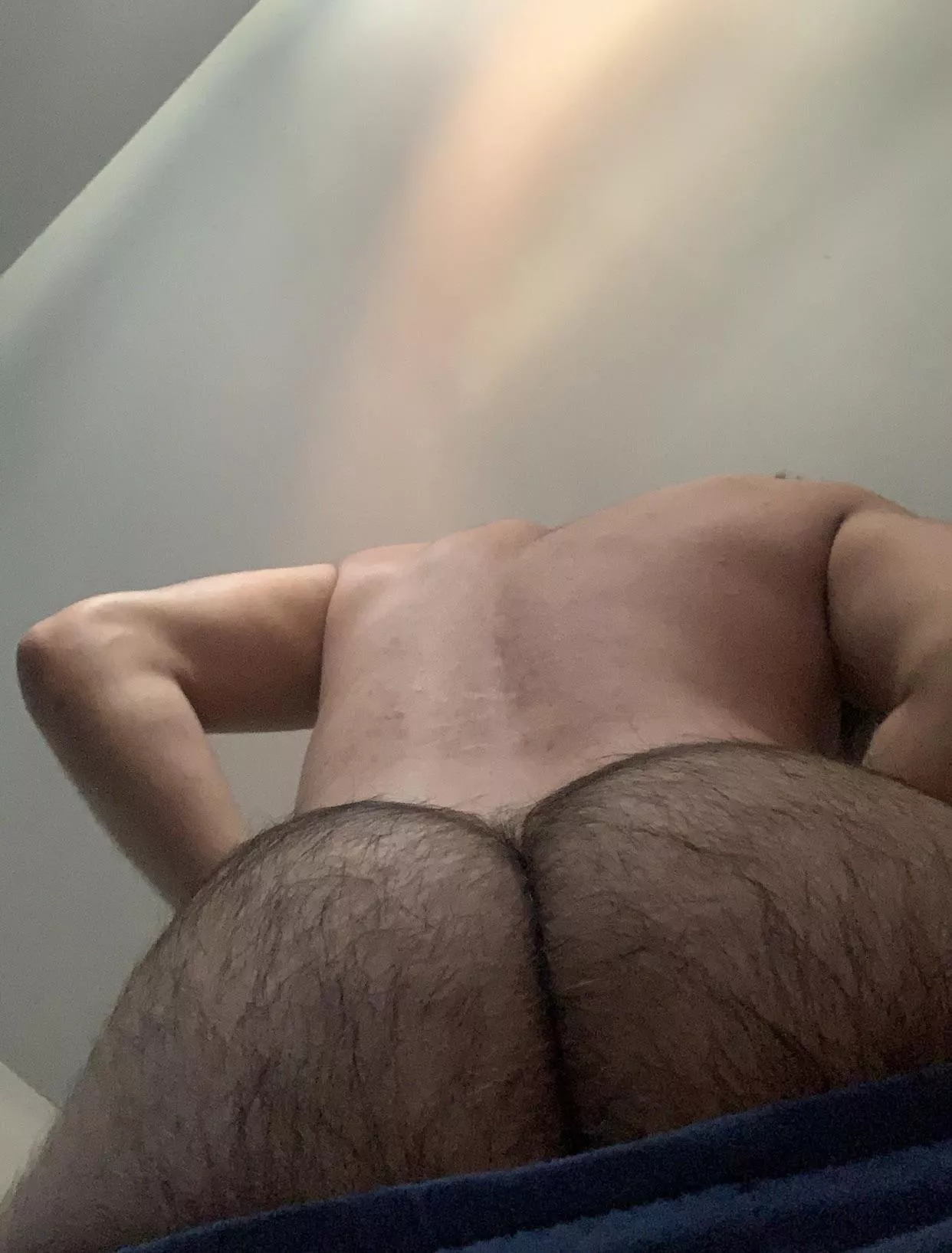 Need a face to sit on